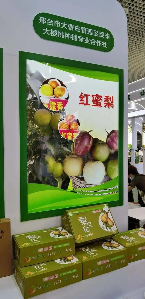 寧晉綠色農產品在廈門綠博會廣受歡迎，水產品零售表現搶眼