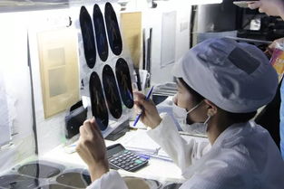 色彩大會第二日 眾企業(yè)齊聚思明通崯濤油墨工廠，實地參觀學習與深度技術(shù)交流